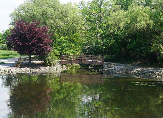 Clague Park pond